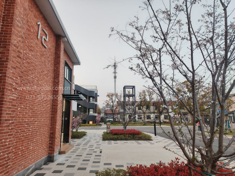 �Ϻ����ʸ���